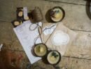 Coconut Shell Harmony Candle