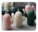 Small Cactus mould
