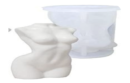 Female Torso mould
