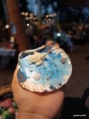 Scallop Sea Treasure Candle