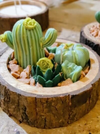 Succulent Garden Candle