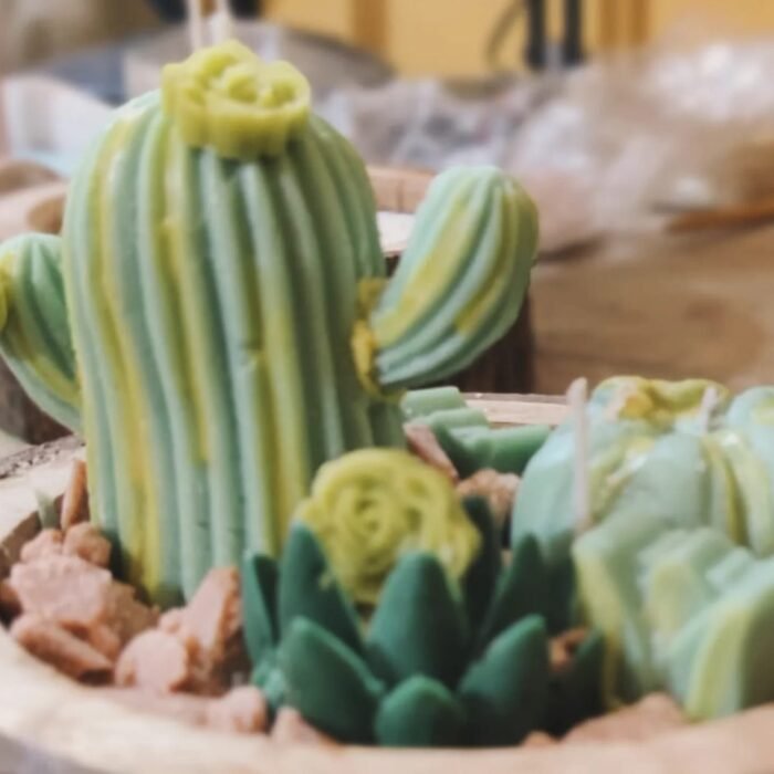 Succulent Garden Candle - Image 2