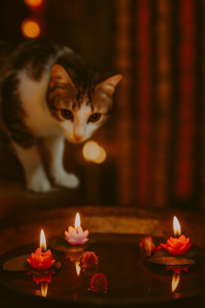 Divine Glow of Lotus – Exclusive Floating T-Light Set of 5 (Luxury Diwali Edition) - Image 8